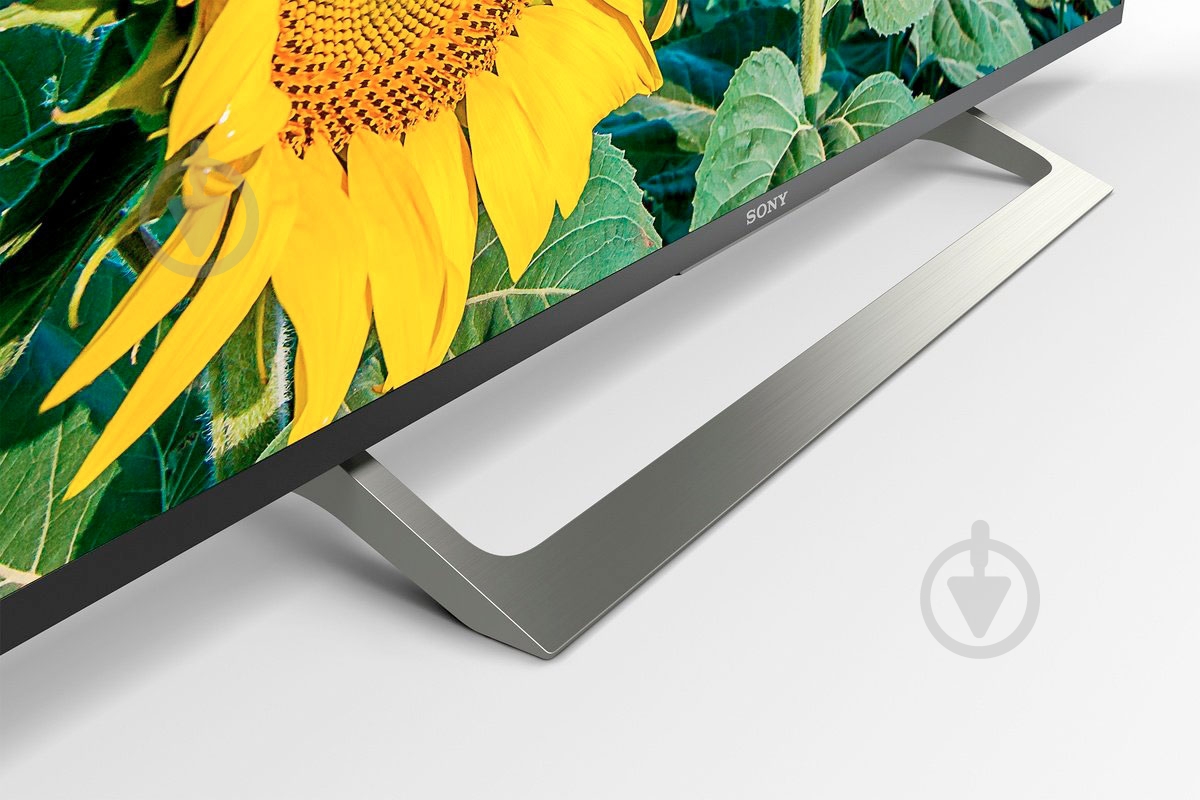 Телевизор Sony KD43XF8096BR2 - фото 3