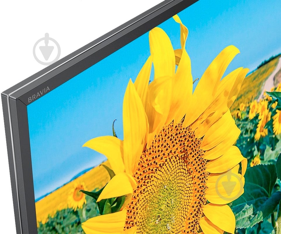 Телевизор Sony KD49XF8096BR2 - фото 4