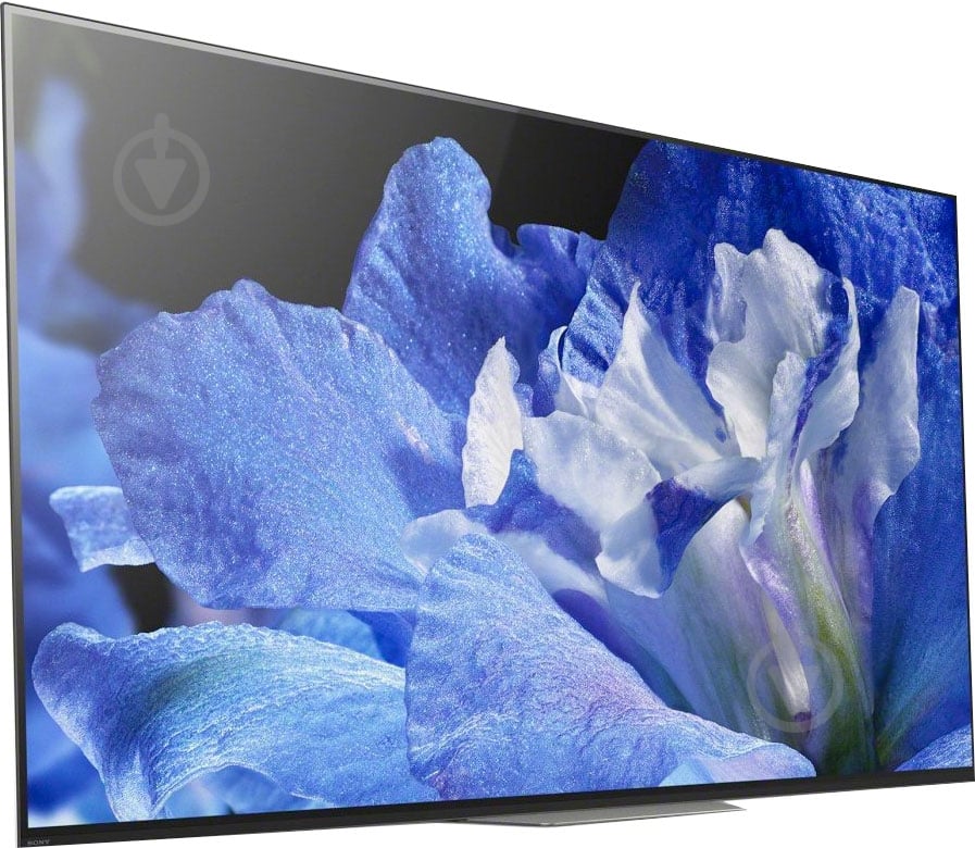 Телевизор Sony KD55AF8BR2 - фото 2