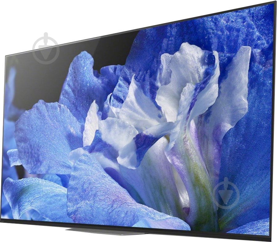 Телевизор Sony KD55AF8BR2 - фото 3