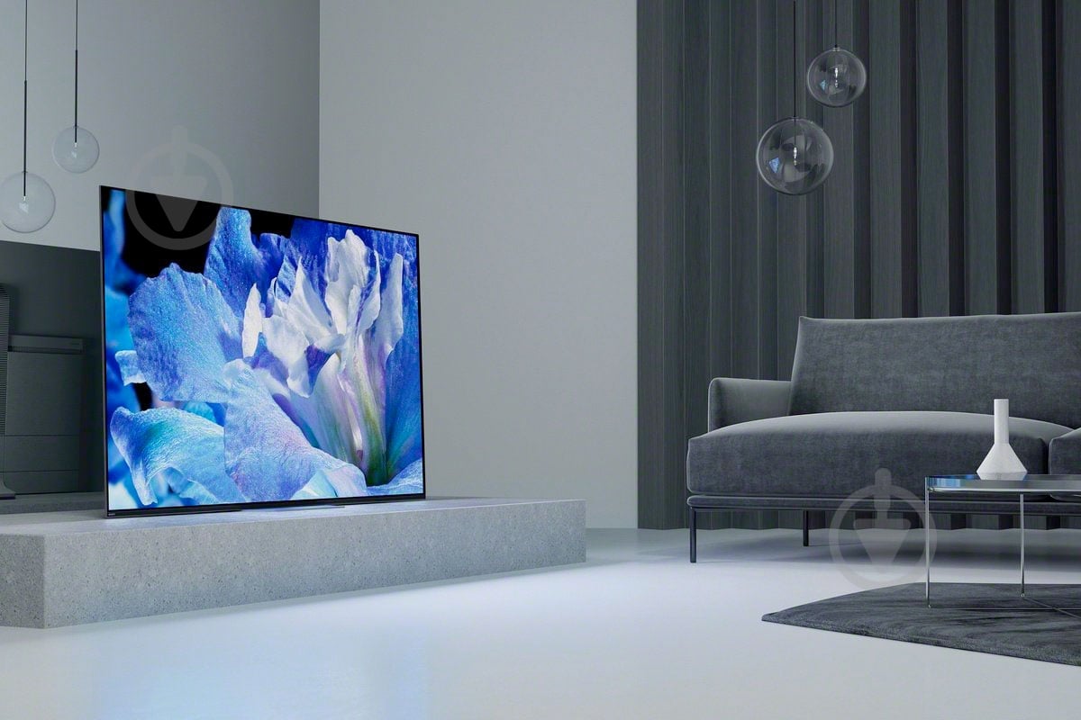 Телевизор Sony KD55AF8BR2 - фото 11