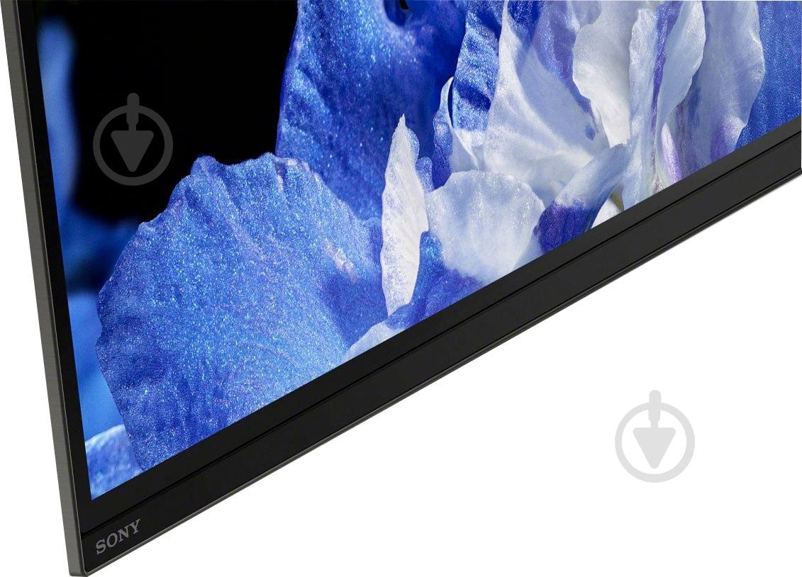 Телевизор Sony KD55AF8BR2 - фото 8