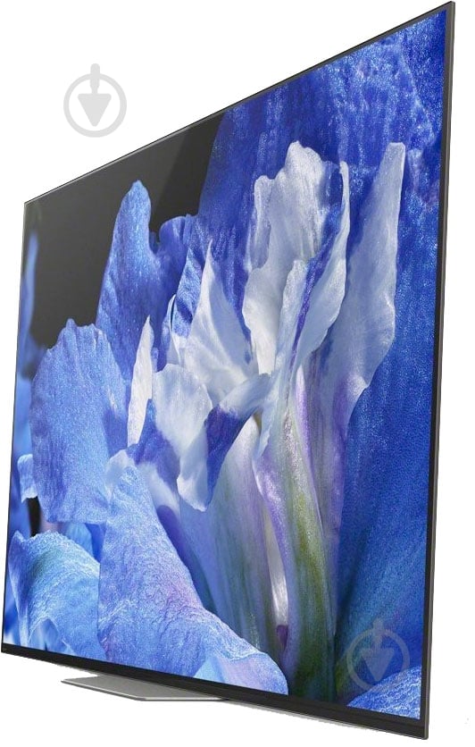 Телевизор Sony KD55AF8BR2 - фото 4