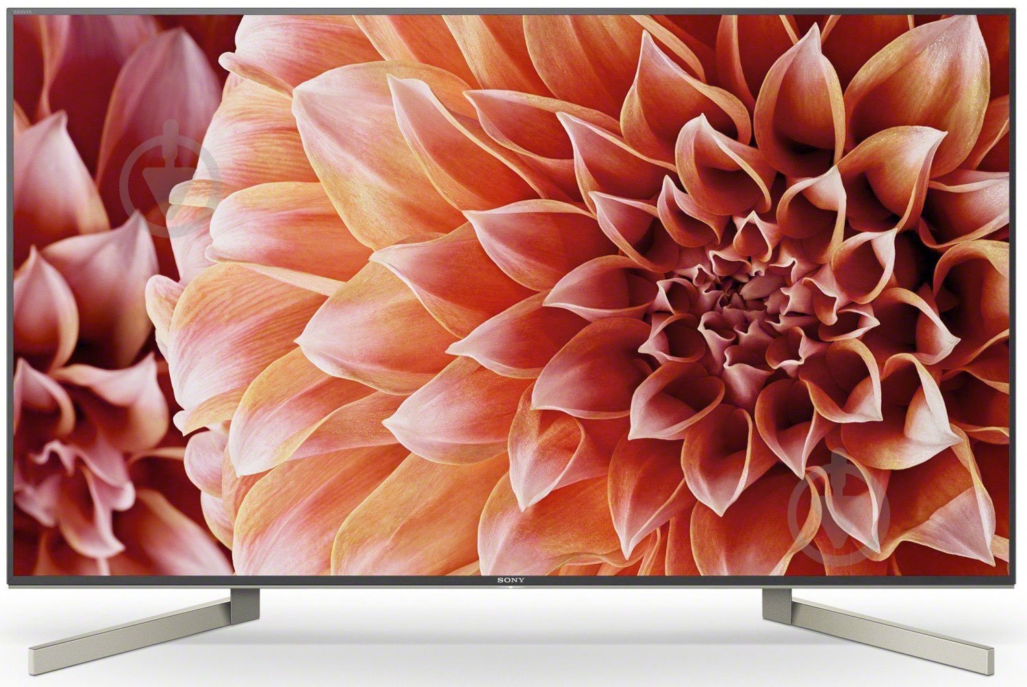 Телевизор Sony KD55XF9005BR2 - фото 1 Телевизор Sony KD55XF9005BR2 - фото 1