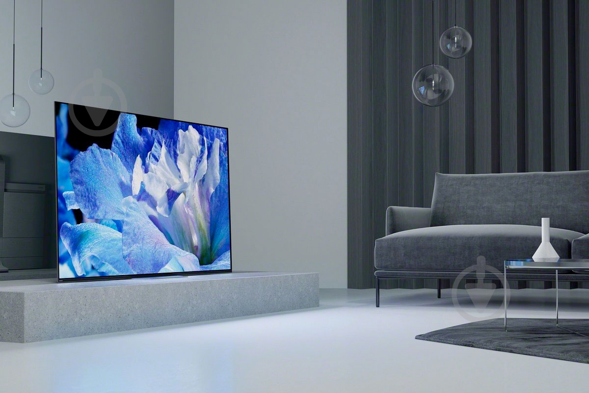 Телевизор Sony KD65AF8BR2 - фото 11 Телевизор Sony KD65AF8BR2 - фото 11