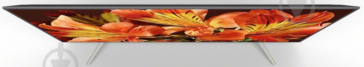 Телевизор Sony KD65XF8596BR2 - фото 3