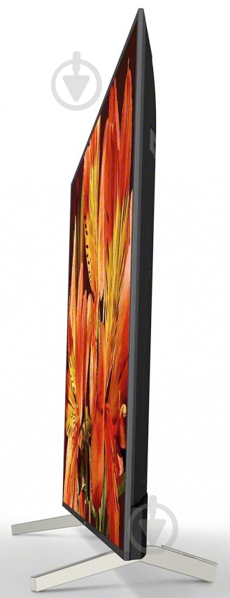 Телевизор Sony KD65XF8596BR2 - фото 2