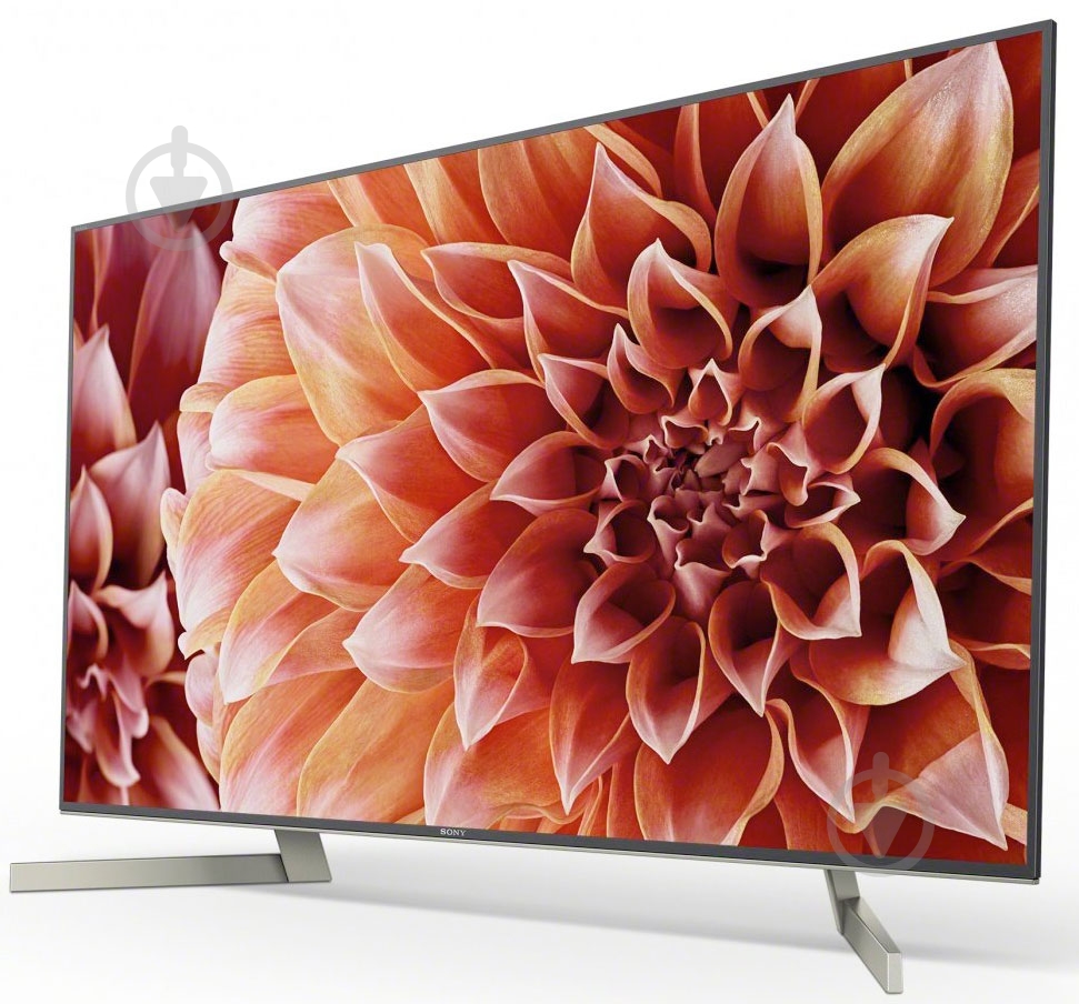 Телевизор Sony KD65XF9005BR2 - фото 3