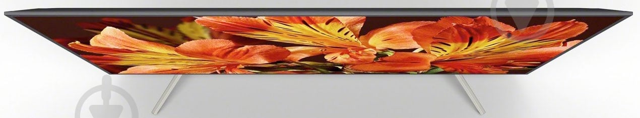 Телевизор Sony KD75XF8596BR2 - фото 3
