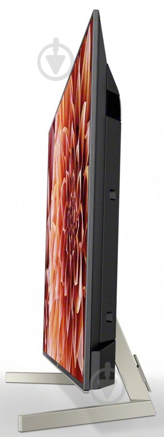 Телевизор Sony KD75XF9005BR2 - фото 4