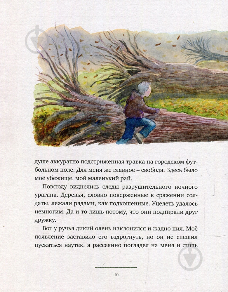 Книга «Робин Гуд» 978-5-389-14613-6 - фото 4