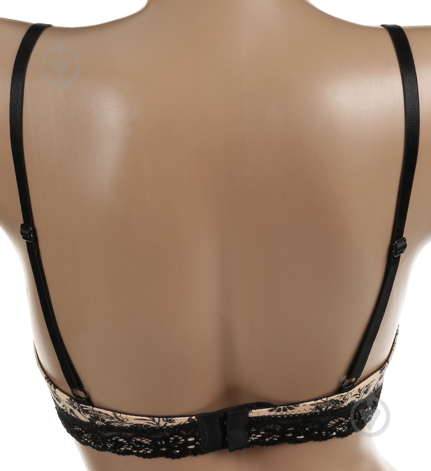 Бюстгальтер Sealine р. 75 C коралловый 252-1352 - фото 3 Бюстгальтер Sealine р. 75 C коралловый 252-1352 - фото 3