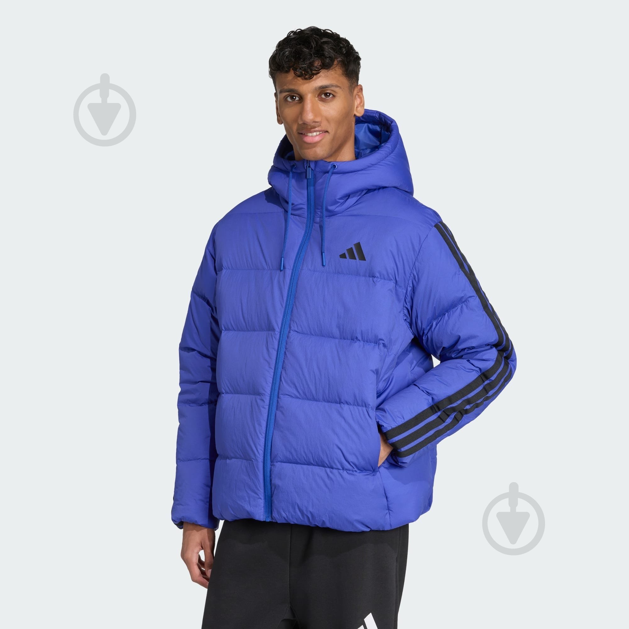 Пуховик мужской зимний Adidas ESS 3S P D HD J JW9099 р.M фиолетовый - фото 1 Пуховик мужской зимний Adidas ESS 3S P D HD J JW9099 р.M фиолетовый - фото 1