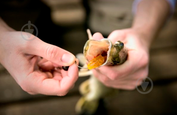 Виброхвост Basic Lures Vanquisher 50 мм 8 шт. 2" (810) - фото 6