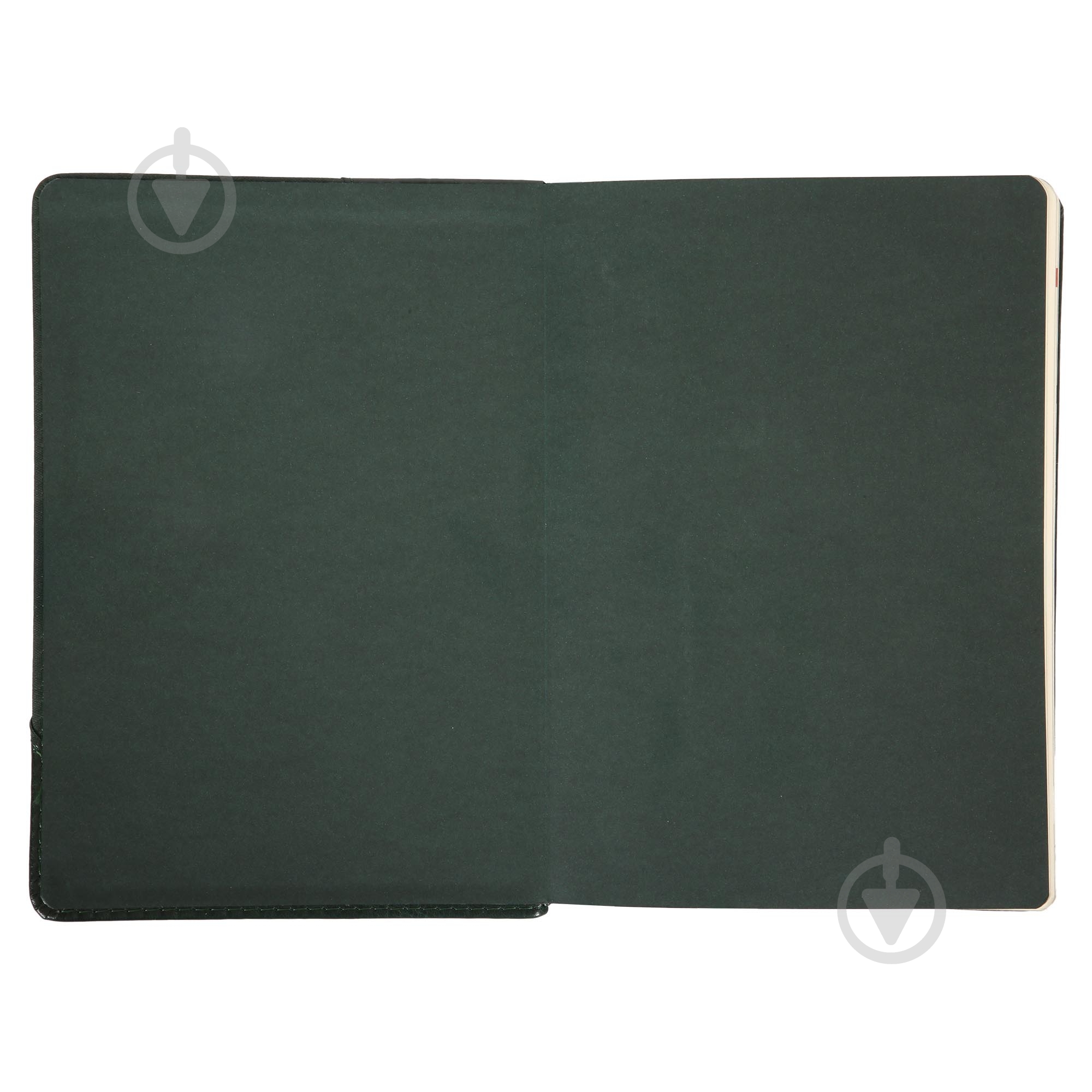 Щоденник датований Whisky 368 стор. Leo Planner A5 2026 252669 зелений - фото 4