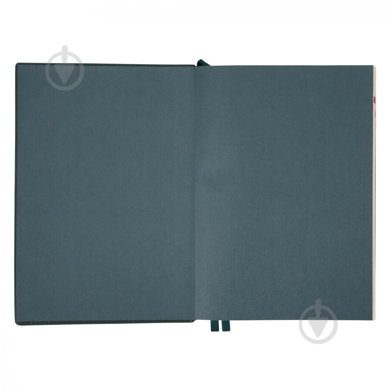 Щоденник датований Credo 368 стор. Leo Planner A5 2026 252646 зелений - фото 5
