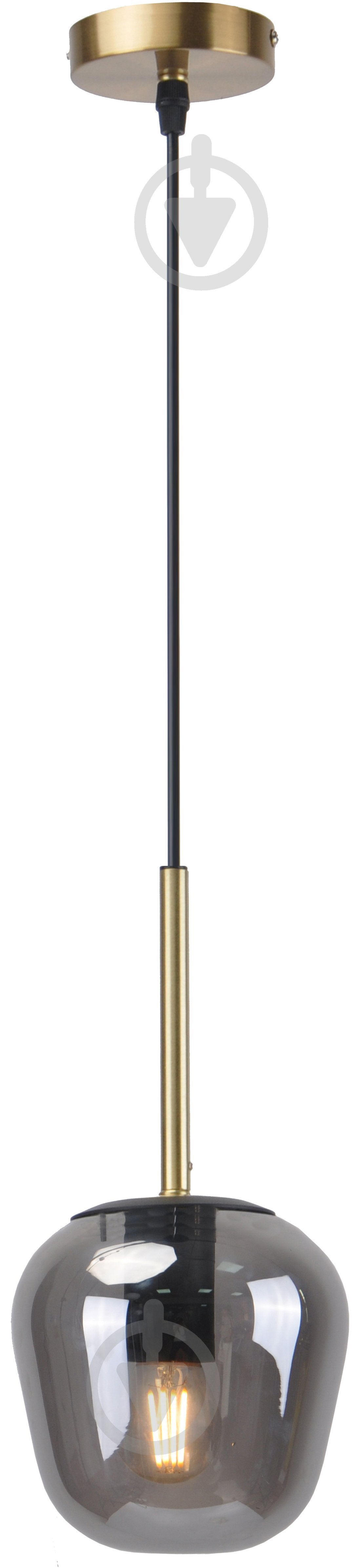 Світильник підвісний Sensio Bellevue 1x40 Вт E27 чорний/латунь ALB-P00427-SM - фото 1