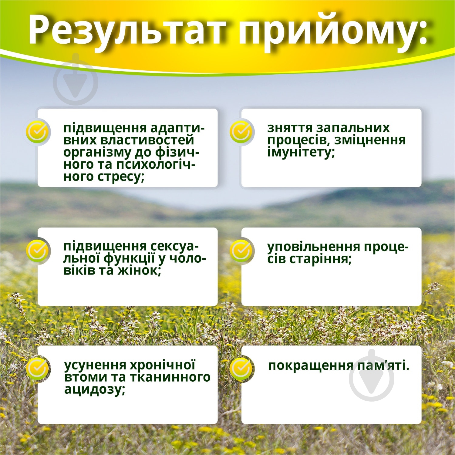Капсули New Food Technologies Ашваганда супер концентрат по 500 мг 60 шт. - фото 5