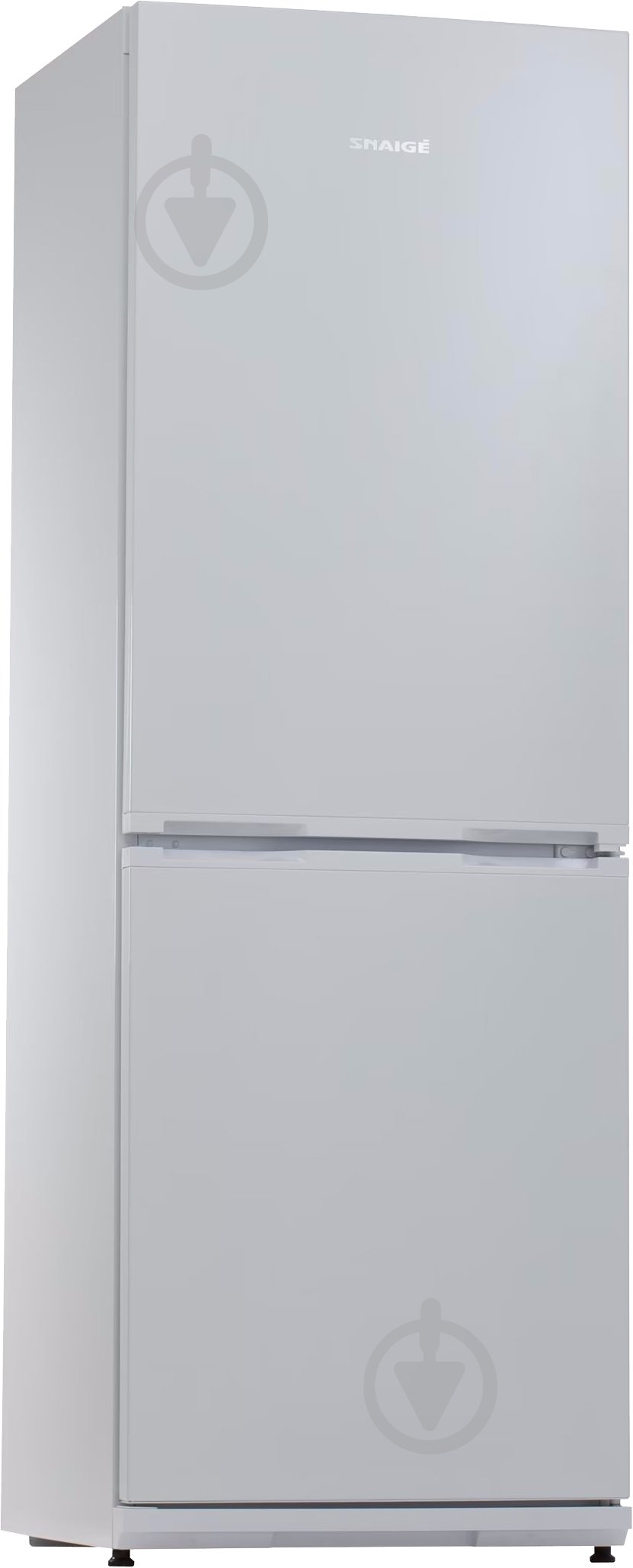 Холодильник Snaige RF31SM-S0002E - фото 1