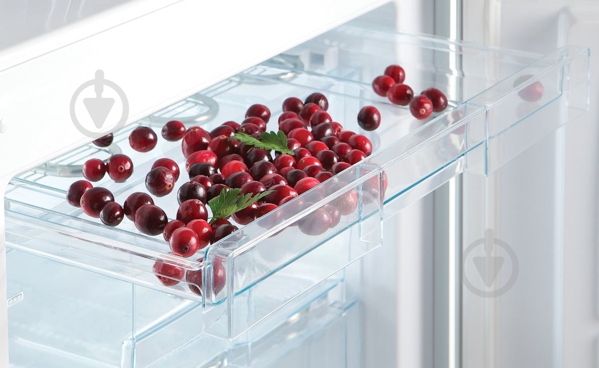 Холодильник Snaige RF53SM-S5DV2E - фото 10 Холодильник Snaige RF53SM-S5DV2E - фото 10