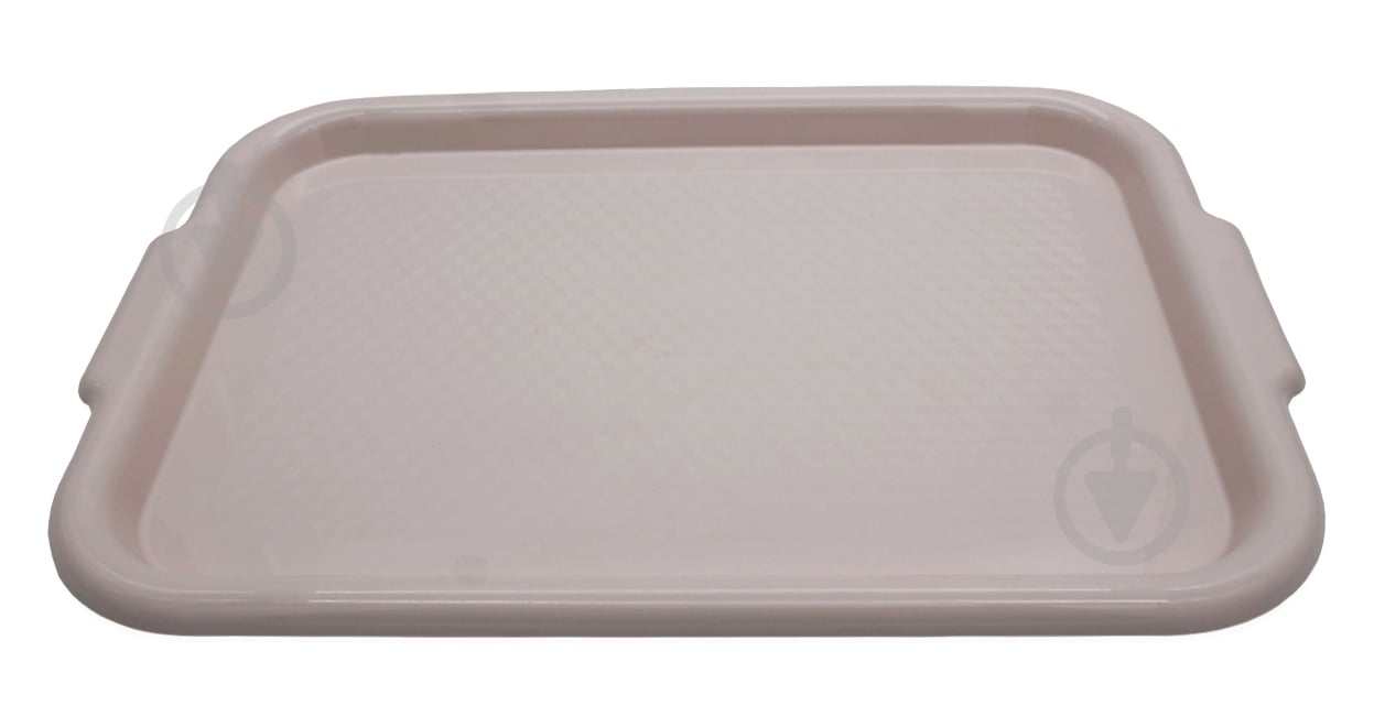 Поднос Омела 48х34х3 см крем - фото 1 Поднос Омела 48х34х3 см крем - фото 1
