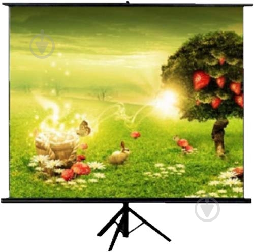 Екран ATRIA TR-AV-96 - фото 1 Екран ATRIA TR-AV-96 - фото 1