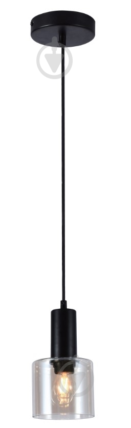 Підвіс WunderLicht 1x40 Вт Е27 чорний 2171-31 - фото 1
