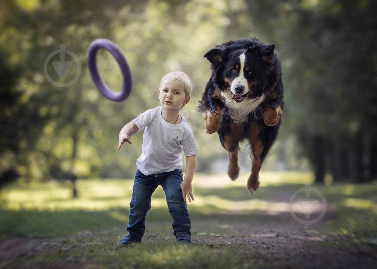 Снаряд тренувальний Puller Standard для собак 28 см - фото 8