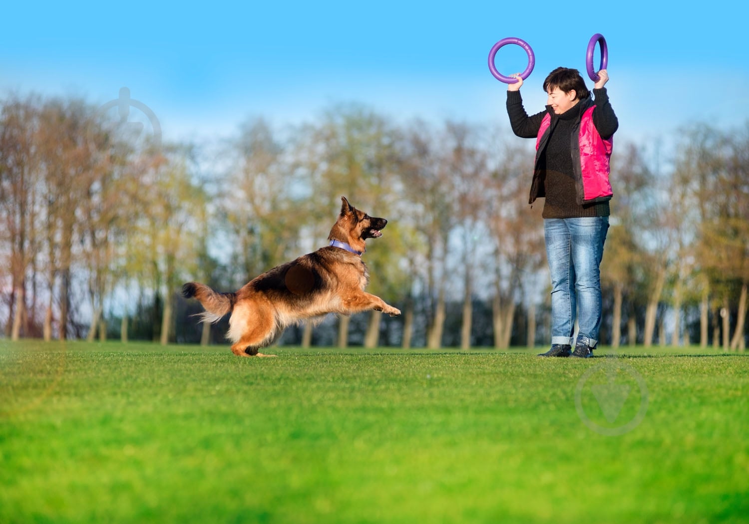 Снаряд тренувальний Puller Standard для собак 28 см - фото 2
