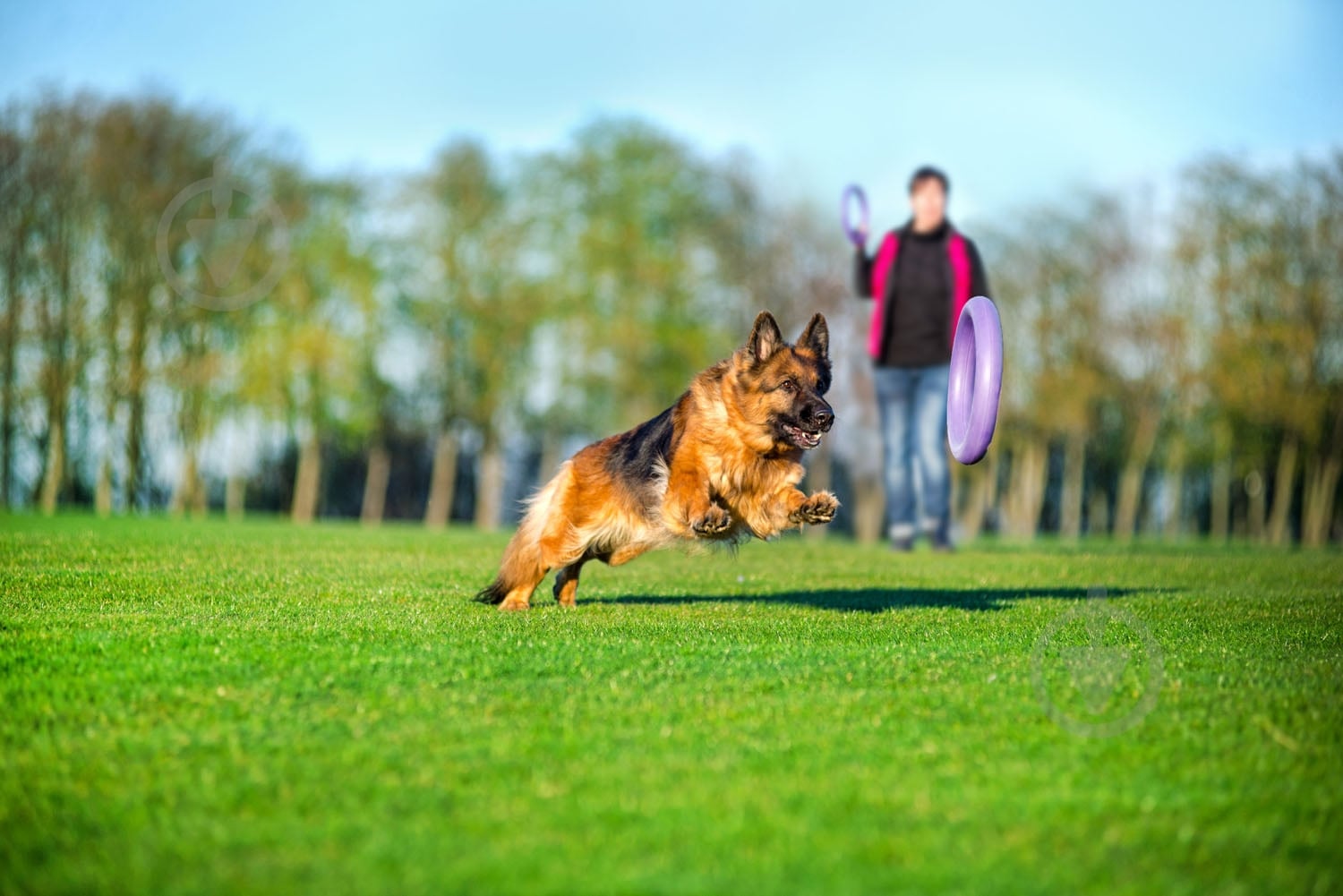 Снаряд тренувальний Puller Standard для собак 28 см - фото 3