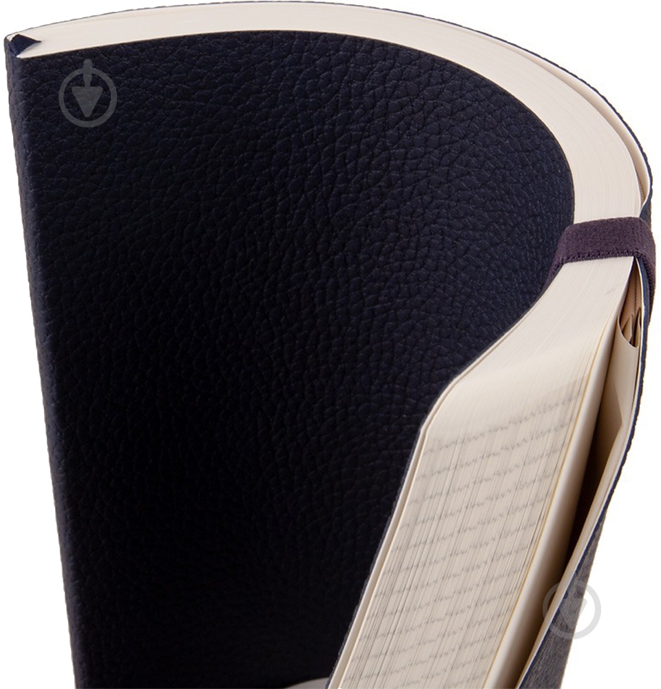 Дневник недатированный синий клетка Axent Partner Soft 8605-21-02-a - фото 7