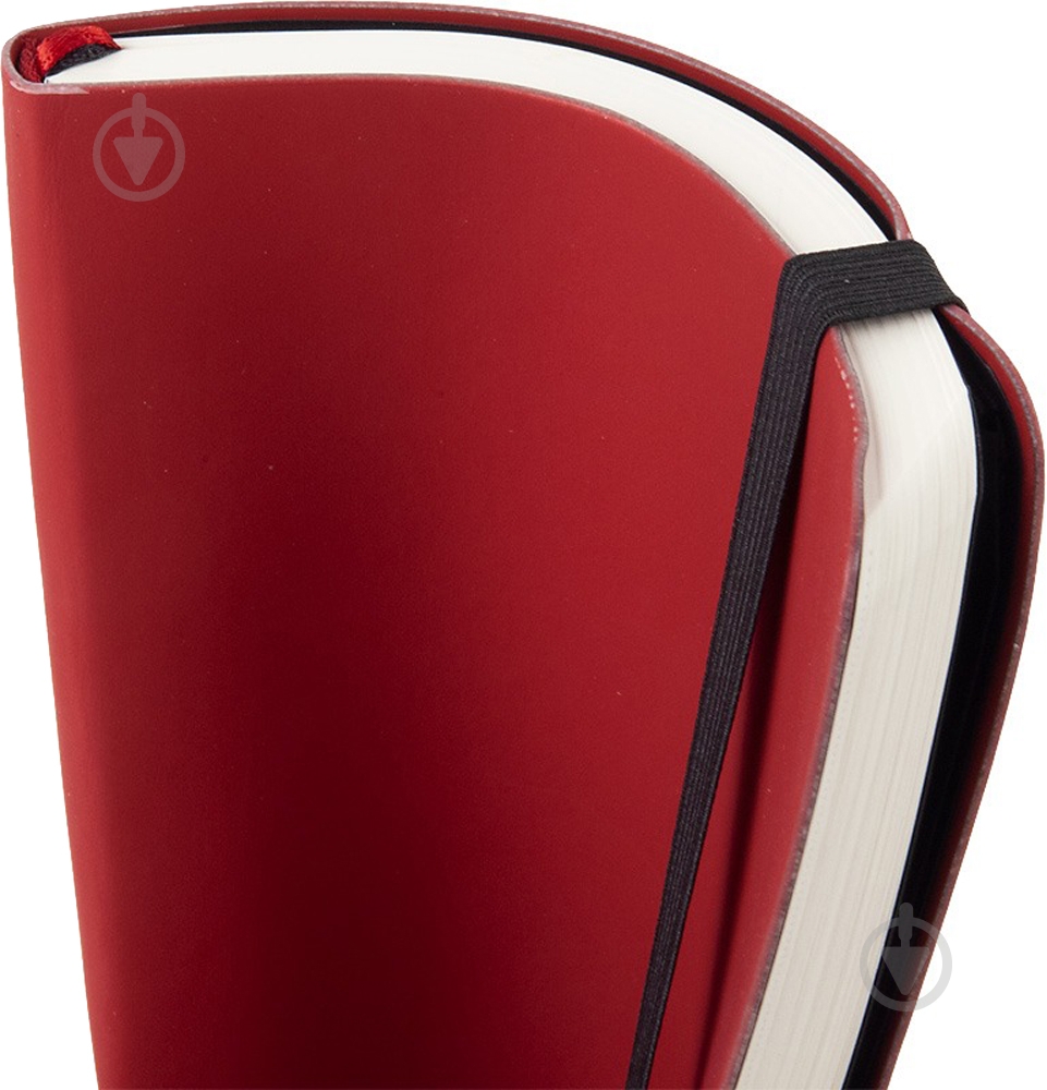 Дневник недатированный бордо клетка Axent Partner Soft A5 8601-21-37-a - фото 7