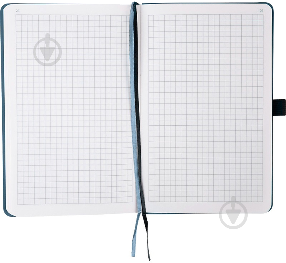 Дневник недатированный синий клетка Axent Partner Soft A5 8601-21-14-a - фото 5