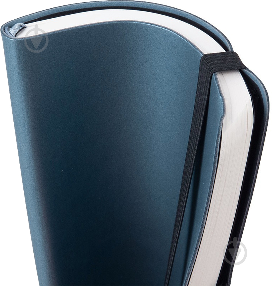 Дневник недатированный синий клетка Axent Partner Soft A5 8601-21-14-a - фото 7