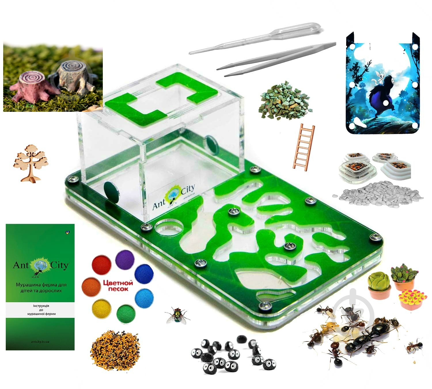 Ферма Мурашина Смарт Амазонка Комплект подарунковий - фото 1