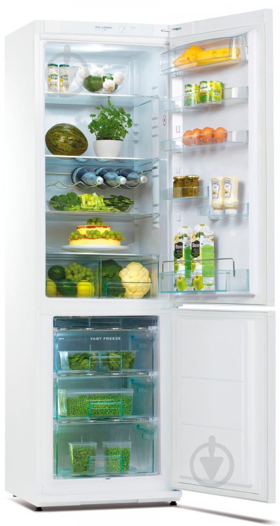 Холодильник Snaige RF36SM-S0002G - фото 4