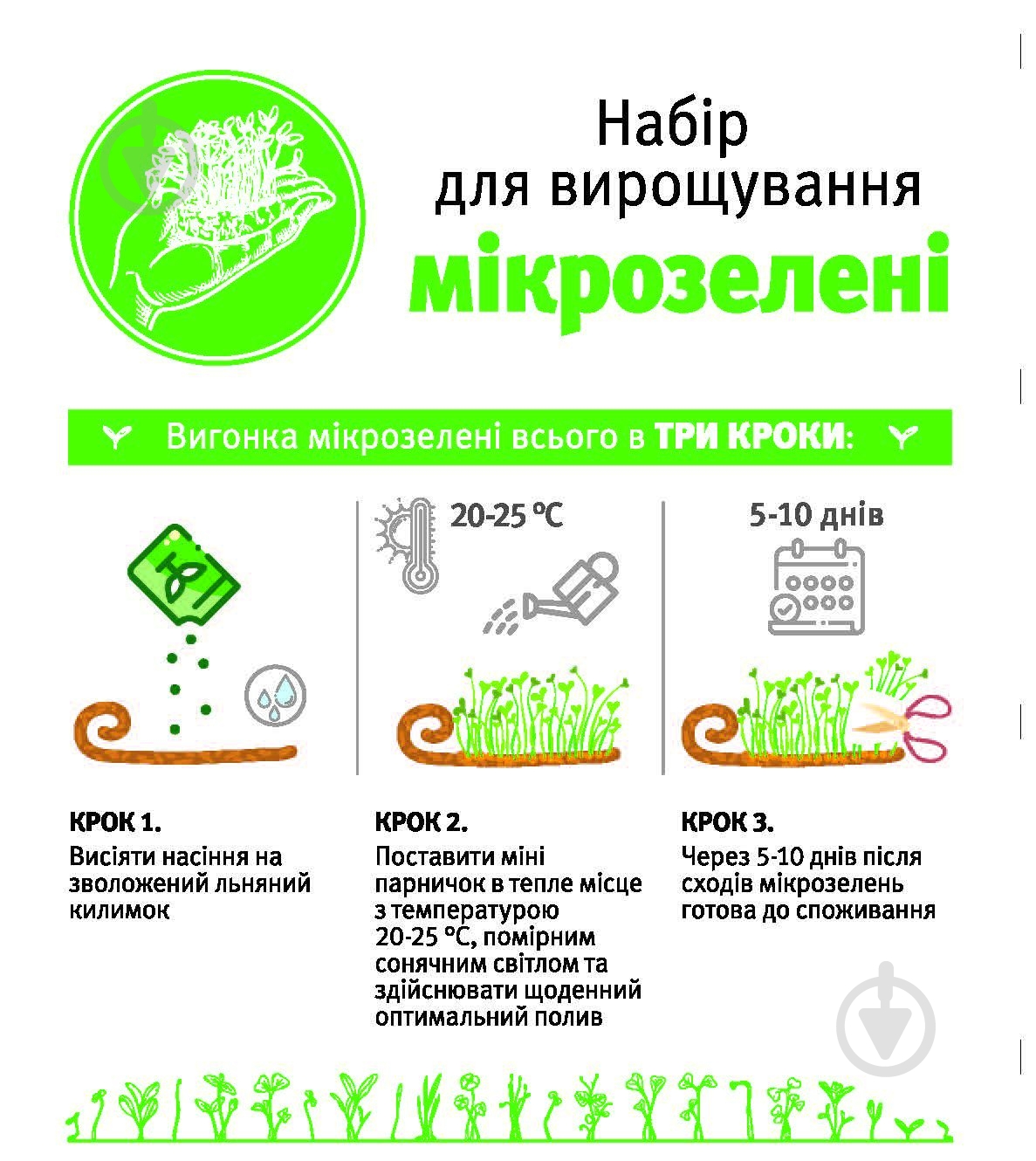 Семена горох Веган 60 г LedaAgro - фото 2 Семена горох Веган 60 г LedaAgro - фото 2