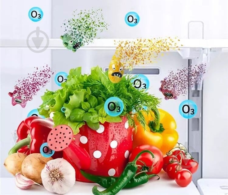 Озонатор TRITON-101 - фото 8