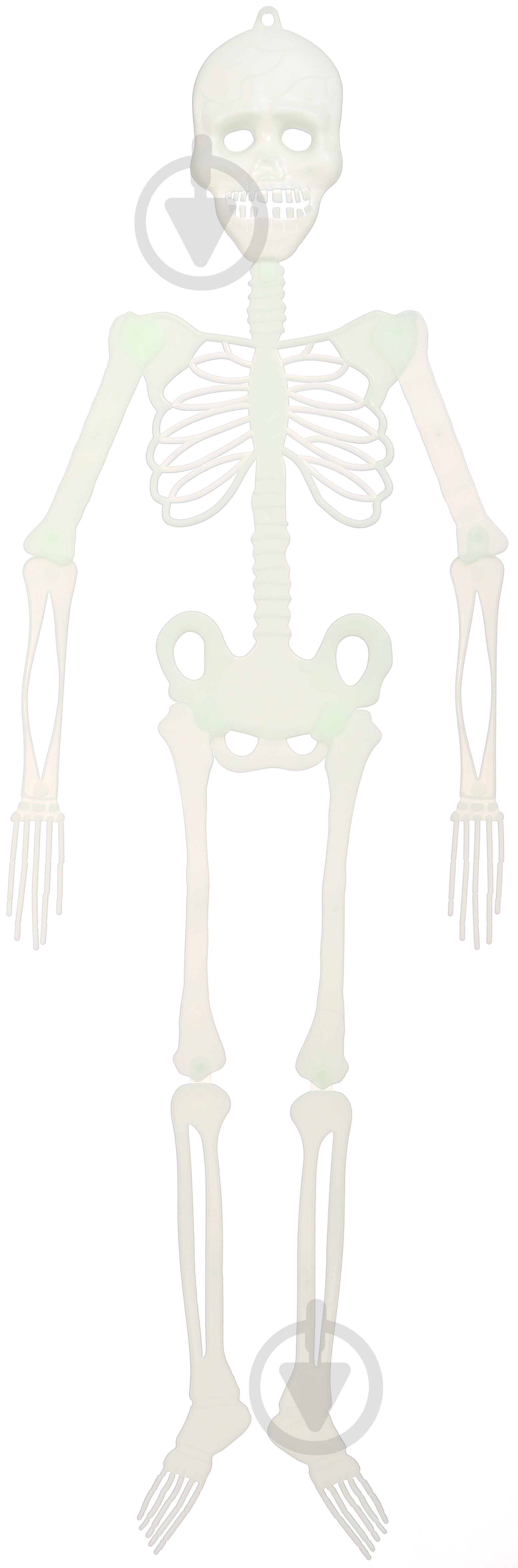 Декорація Скелет (18911-010) - фото 1