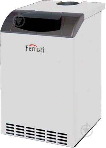 Котел газовый Ferroli Pegasus D 30 - фото 1