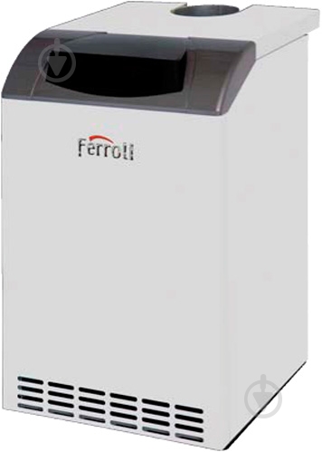 Котел газовый Ferroli Pegasus D 45 - фото 1