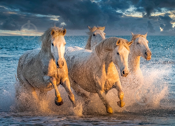 Пазлы КФИ Белые лошади - фото 1 Пазлы КФИ Белые лошади - фото 1