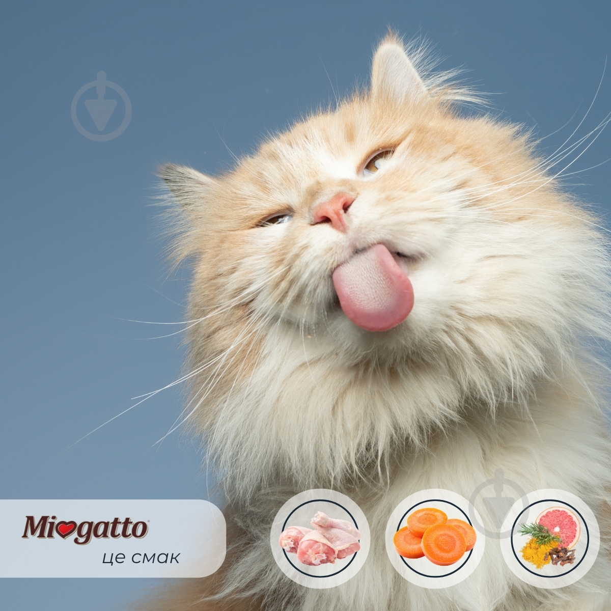 Корм вологий беззерновий для стерилізованих котів Morando Miogatto Sterilized з куркою та морквою 100 г - фото 3