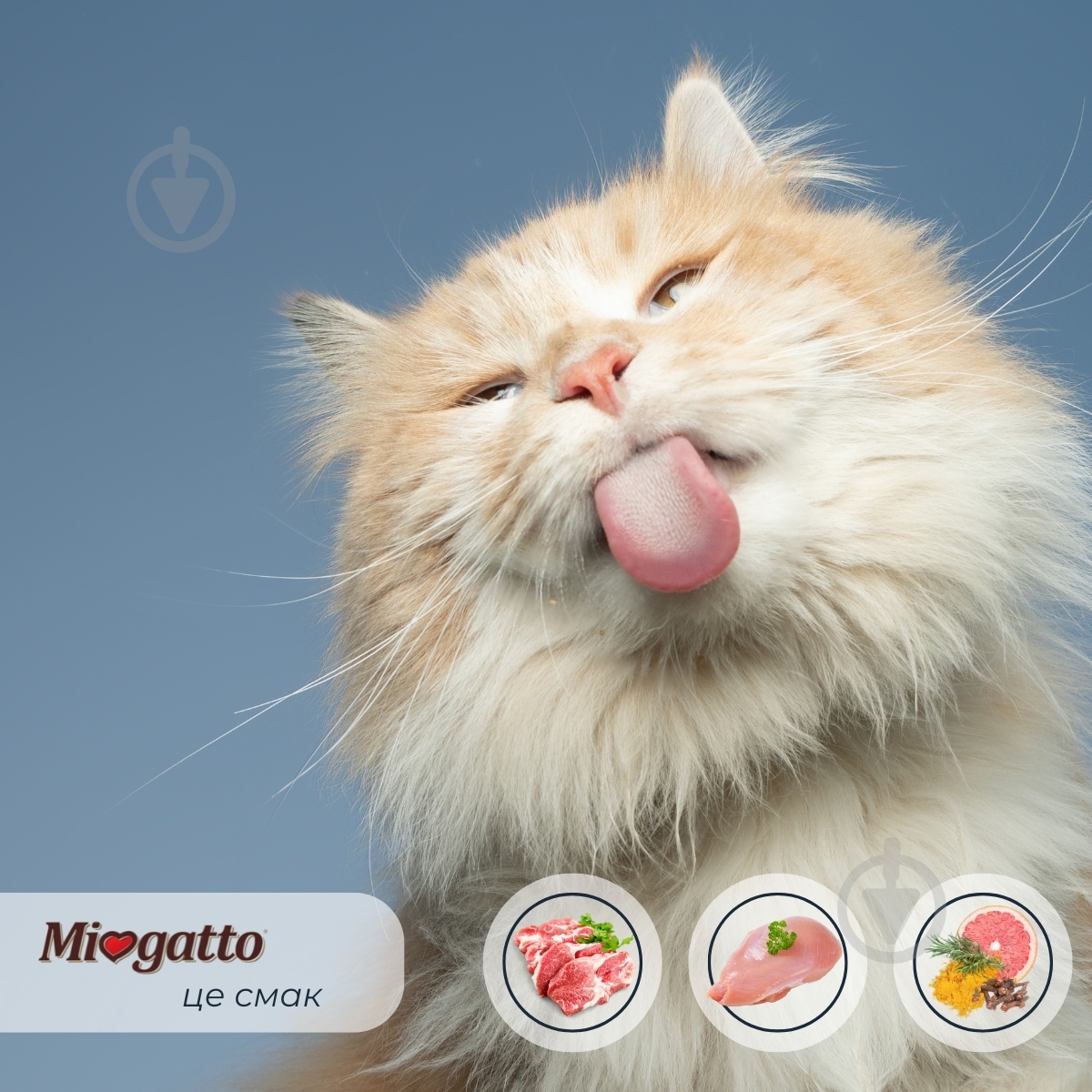 Корм вологий беззерновий для котів Morando Miogatto з ягням та індичкою 100 г - фото 3 Корм вологий беззерновий для котів Morando Miogatto з ягням та індичкою 100 г - фото 3