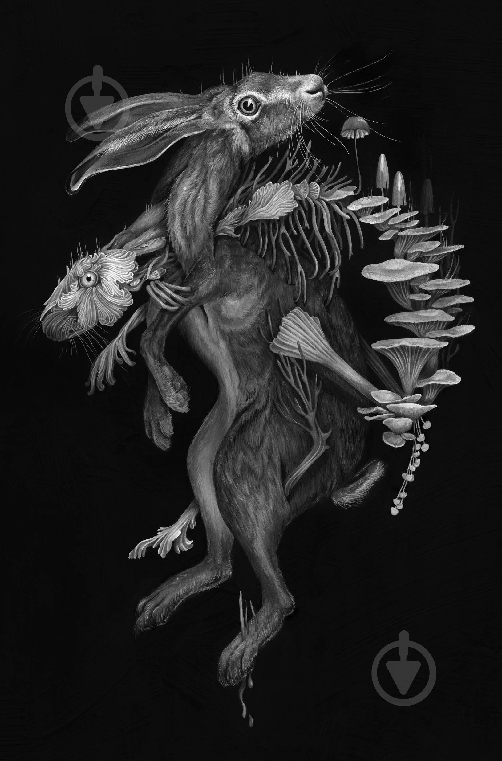 Книга Т. Кингфишер «Те, що тривожить мерців. Книга 1» 978-617-8287-43-6 - фото 2