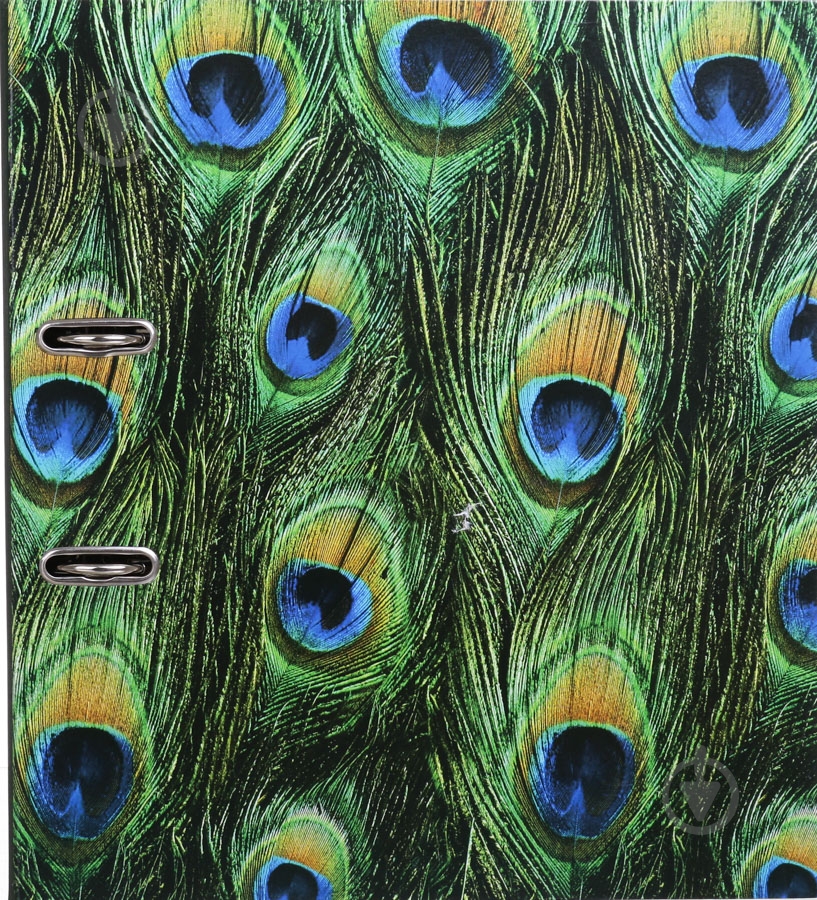 Папка-регистратор Павлин - фото 3