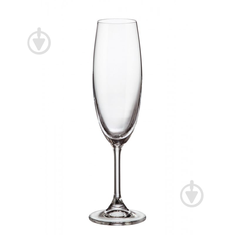 Набір бокалів для шампанського Bohemia Sylvia b4S415 220 мл 2 шт. - фото 1 Набір бокалів для шампанського Bohemia Sylvia b4S415 220 мл 2 шт. - фото 1