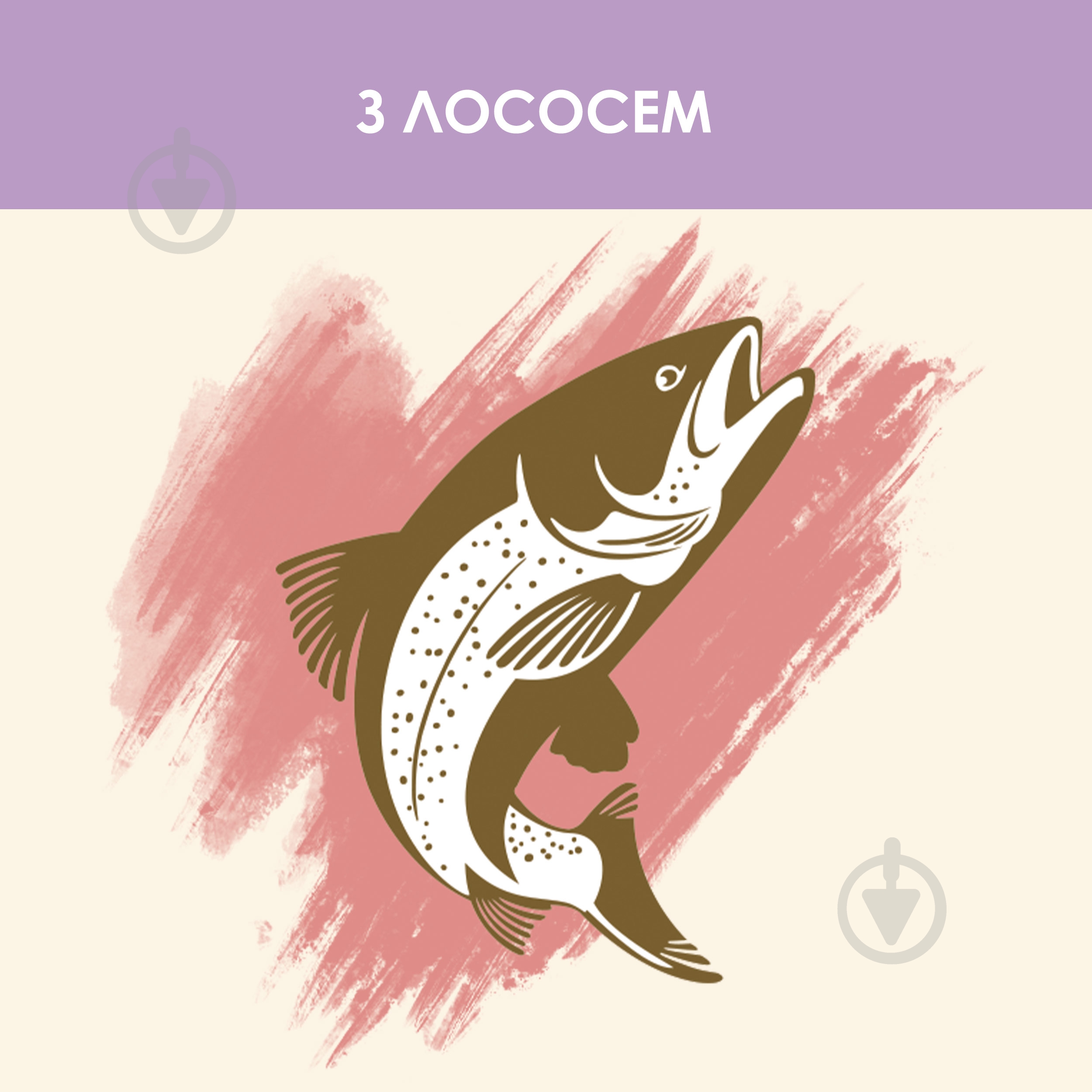 Корм сухий для дорослих кішок із чутливою шкірою та травленням Cat Chow by Purina Sensitive з лососем 1,5 кг - фото 14