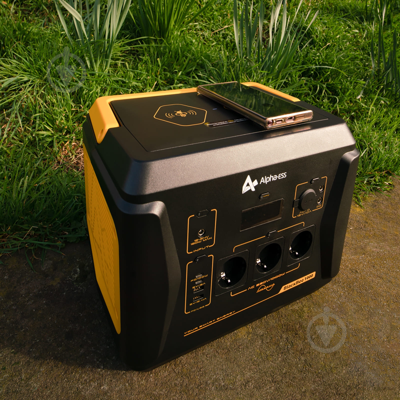 Зарядная станция AlphaESS BlackBee 1000 (1036 Вт·ч) - фото 6