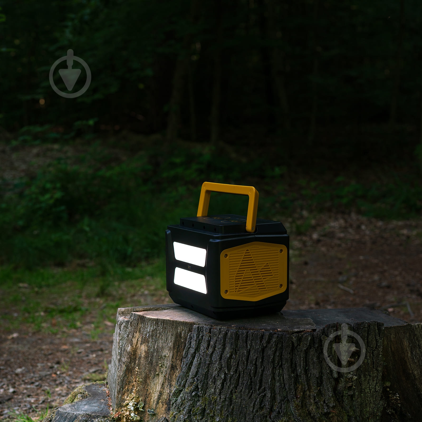 Зарядная станция AlphaESS BlackBee 1000 (1036 Вт·ч) - фото 9